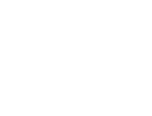 Zollconsult Logo - zurueck zur Startseite